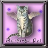 angelpet12.jpg